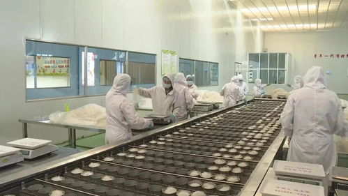 厦大山海情 食品研发与生产之路