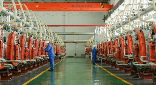 伊犁河谷起宏图 兵团四师可克达拉市食品开发成就巡礼