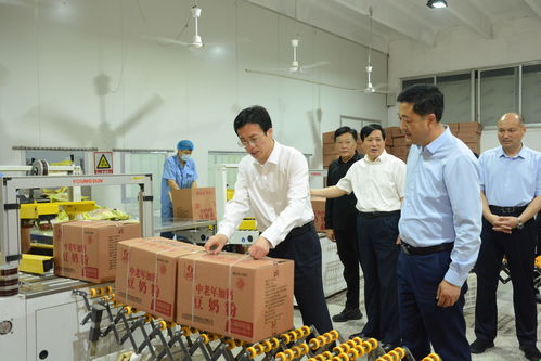 陈士贤带队深入调研食品生产企业发展，推动食品开发与生产创新