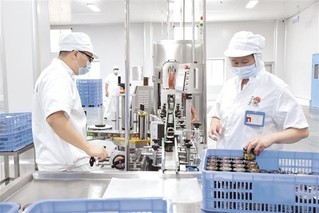 香菇创新吃法走红，美食潮流席卷非洲市场