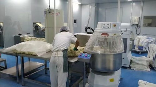 潼关盛潼餐饮公司 日产量两百万个肉夹馍饼坯，助推当地小吃产业升级