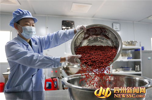 广安乡村微工厂 富硒食品开发助力产业振兴