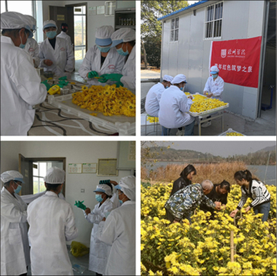 食品学院实践团队赴妙山村开展“青年红色逐梦之旅” 科技赋能传统食品开发，助力乡村振兴