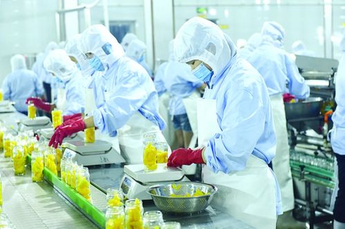 栾城聚力打造现代食品产业新高地，凤凰网聚焦产业聚集发展新路径