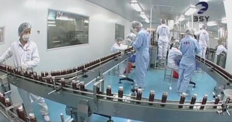 谷物果蔬复合粉加工与贴牌生产 一站式解决方案与市场前景